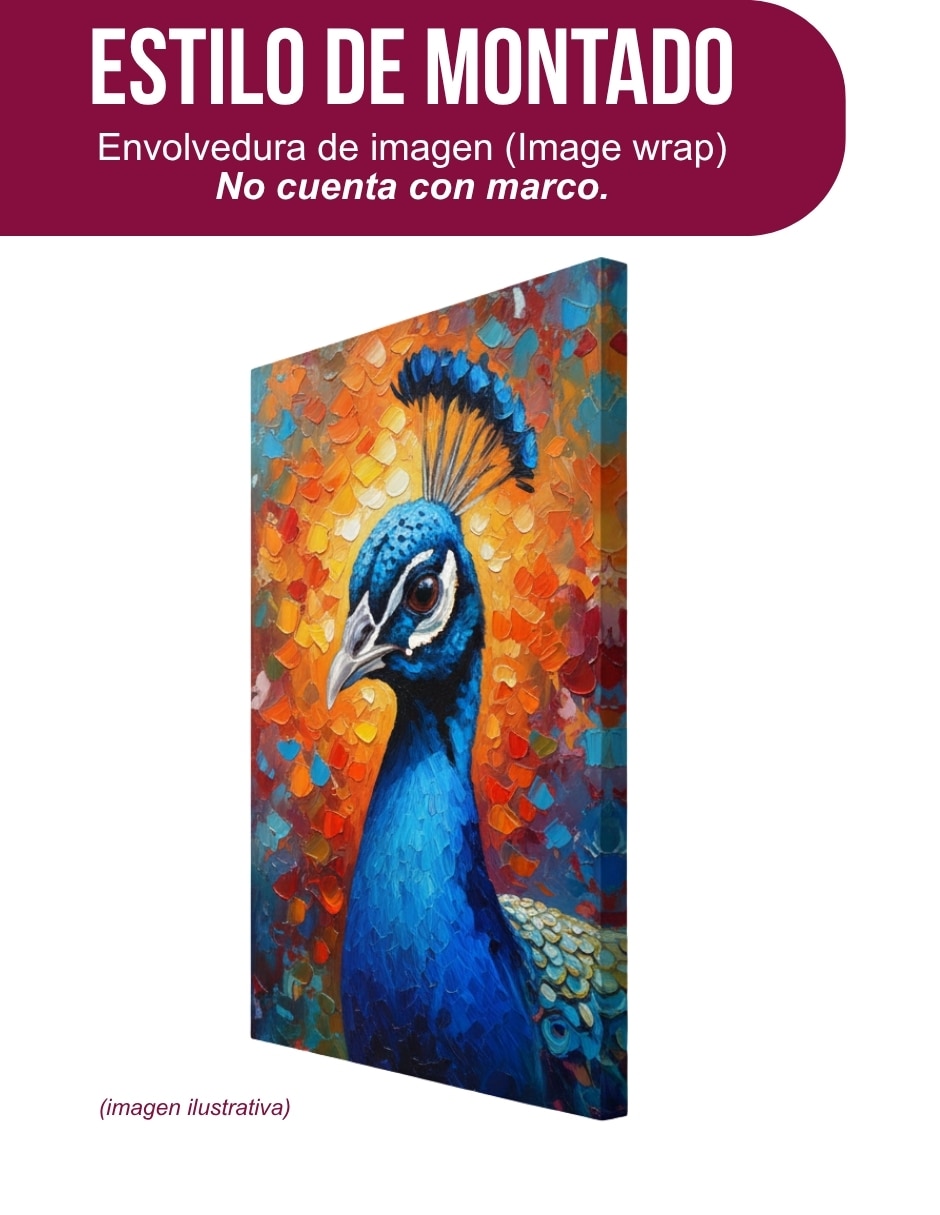 Cuadro decorativo Generica Animal pavo real